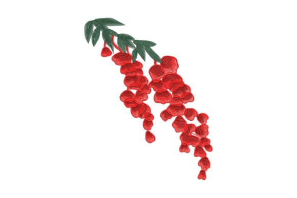 Hanging Flame Petals: A Designer’s Review