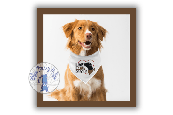 Live Love Rescue: A Designer’s Review